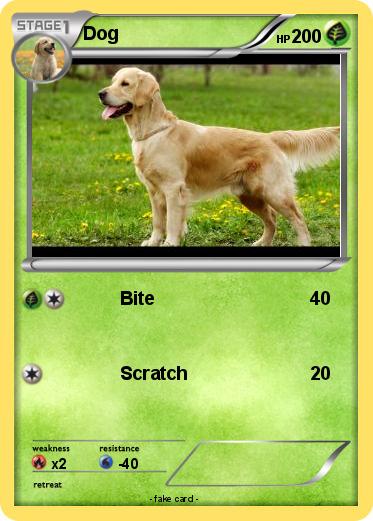 Pokemon Dog