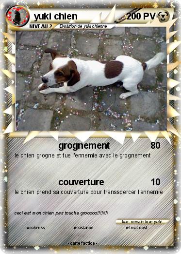 Pokemon yuki chien
