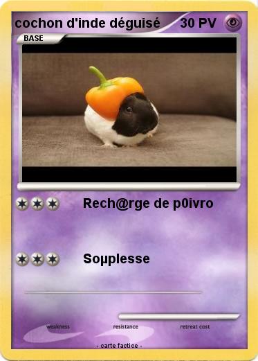 Pokemon cochon d'inde déguisé