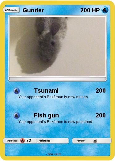 Pokemon Gunder