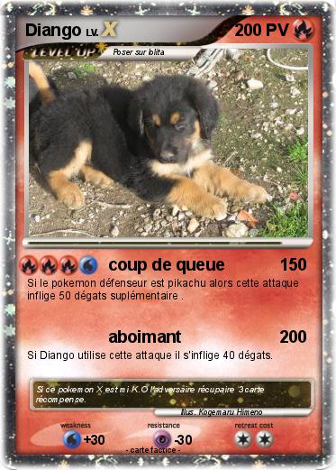 Pokemon Diango