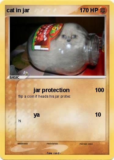 Pokemon cat in jar
