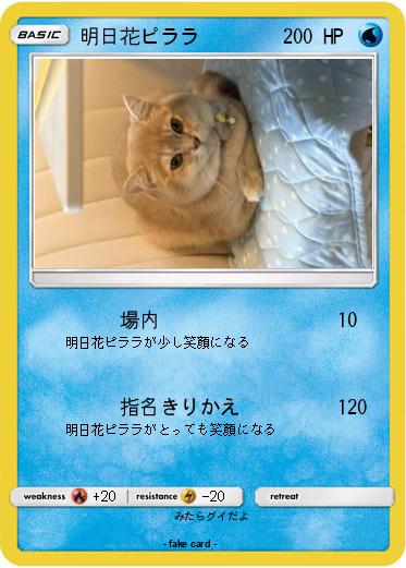 Pokemon 明日花ピララ