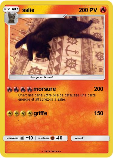 Pokemon salie