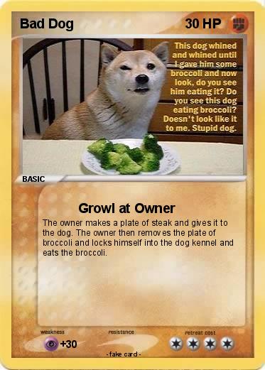 Pokemon Bad Dog