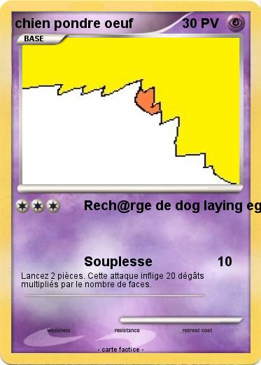 Pokemon chien pondre oeuf