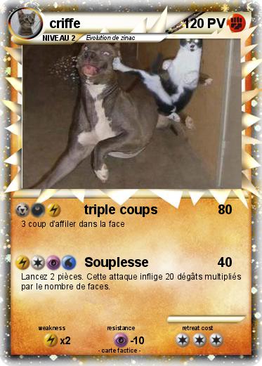 Pokemon criffe