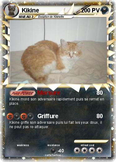 Pokemon Kikine