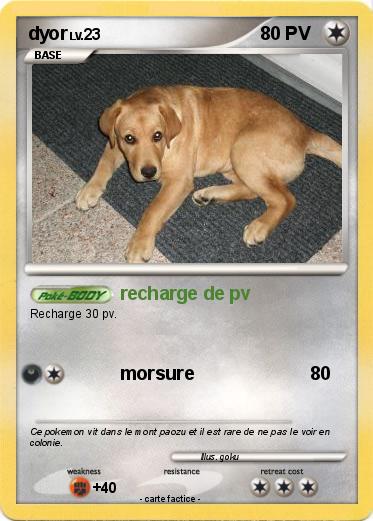 Pokemon dyor