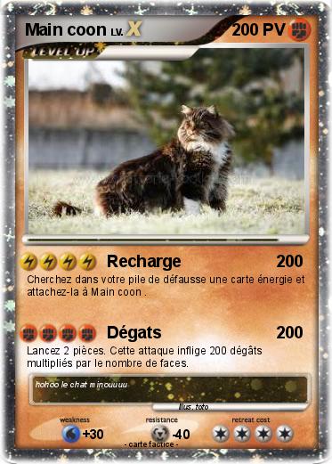 Pokemon Main coon