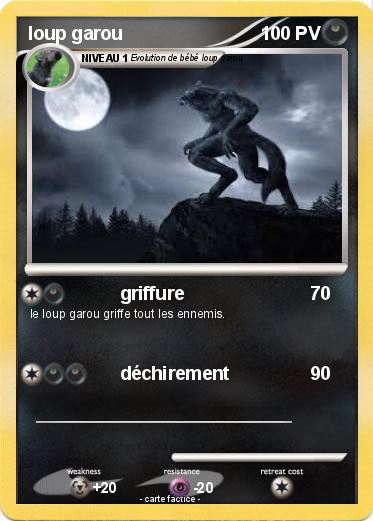 Pokemon loup garou
