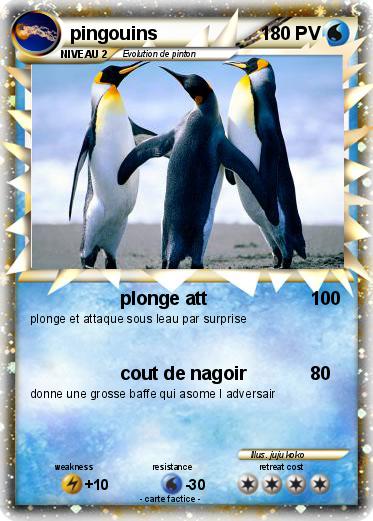 Pokemon pingouins