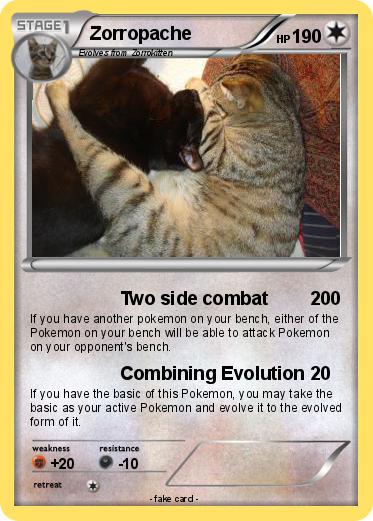Pokemon Zorropache