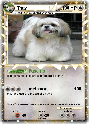 Pokemon Thay