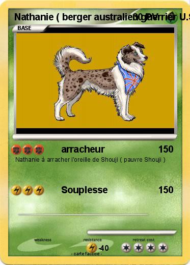 Pokemon Nathanie ( berger australien guerrier U.S.A )