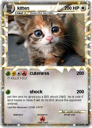 Pokemon kitten