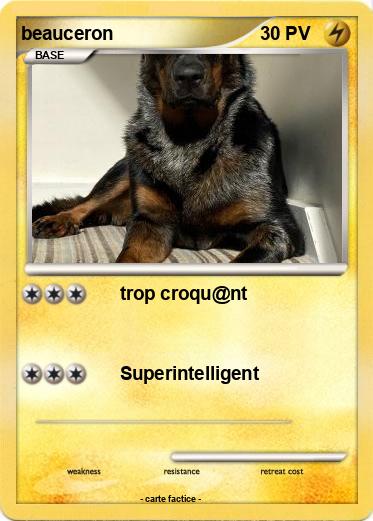 Pokemon beauceron