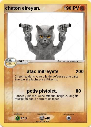 Pokemon chaton efreyan.