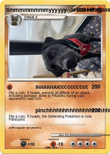 Pokemon timmmmmmmmyyyyyy