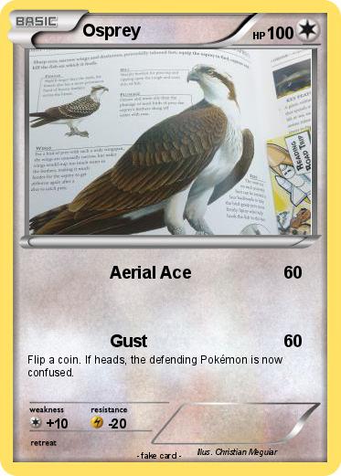 Pokemon Osprey
