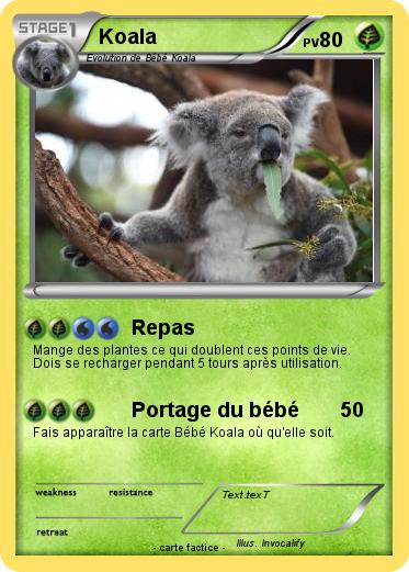 Pokemon Koala