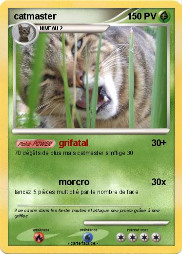 Pokemon catmaster