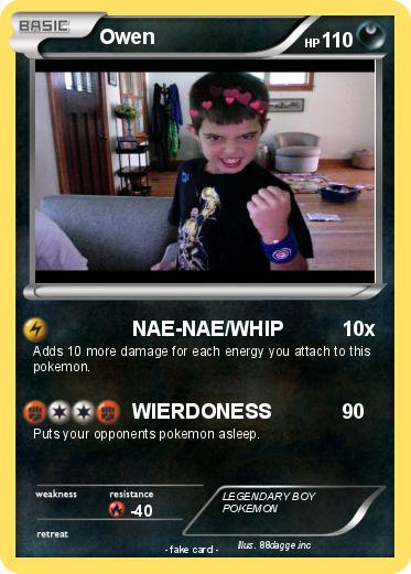 Pokemon Owen