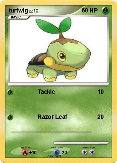 Pokemon turtwig
