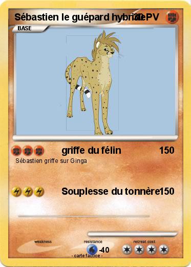 Pokemon Sébastien le guépard hybride