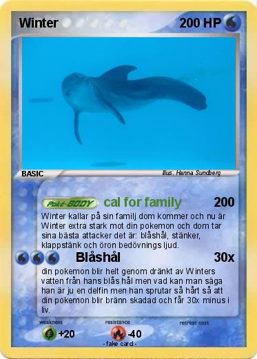 Pokemon Winter