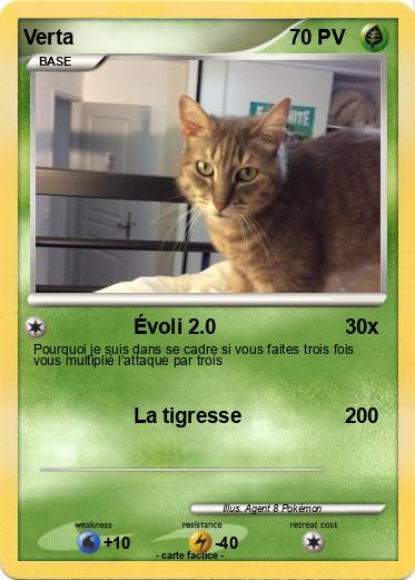 Pokemon Verta