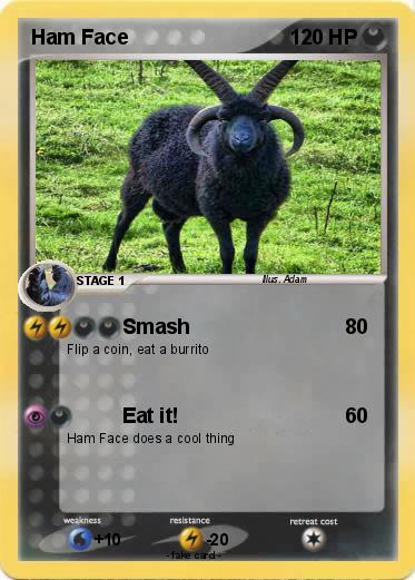 Pokemon Ham Face