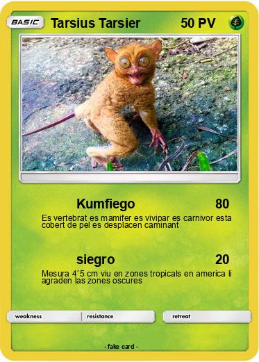 Pokemon Tarsius Tarsier