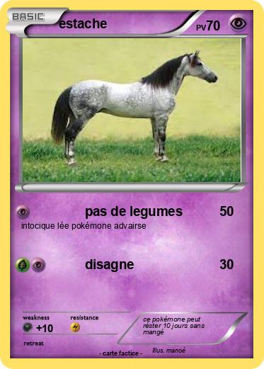 Pokemon estache