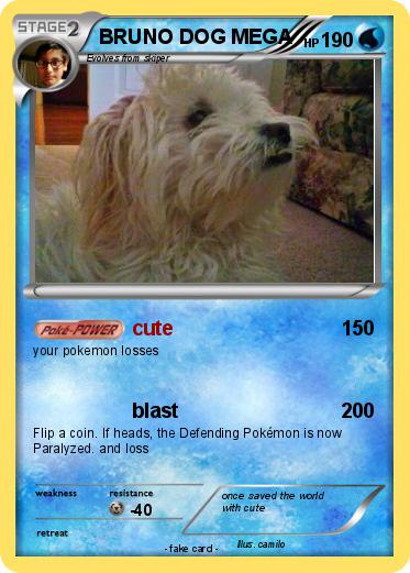 Pokemon BRUNO DOG MEGA