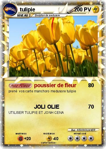 Pokemon tulipie