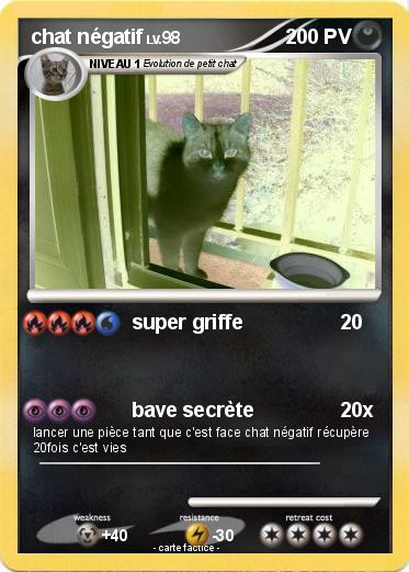 Pokemon chat négatif