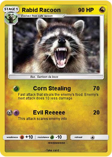 Pokemon Rabid Racoon