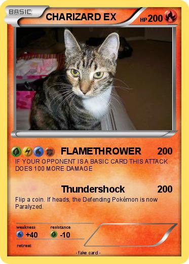 Pokemon CHARIZARD EX