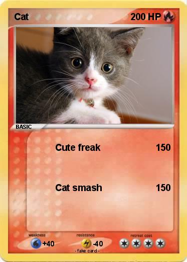 Pokemon Cat