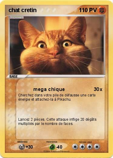 Pokemon chat cretin