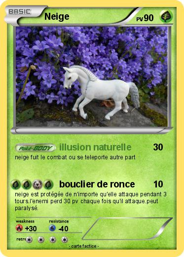 Pokemon Neige
