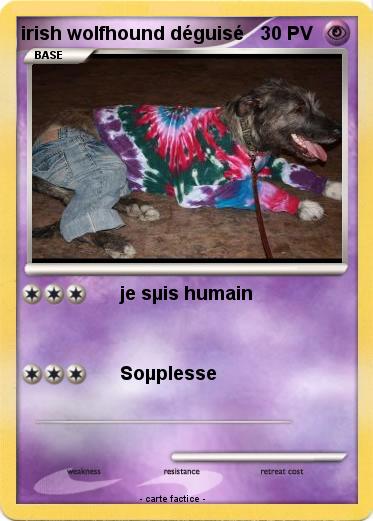 Pokemon irish wolfhound déguisé