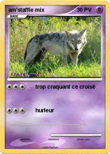 Pokemon am'staffie mix