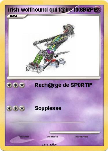 Pokemon irish wolfhound qui f@ire le S0RPE