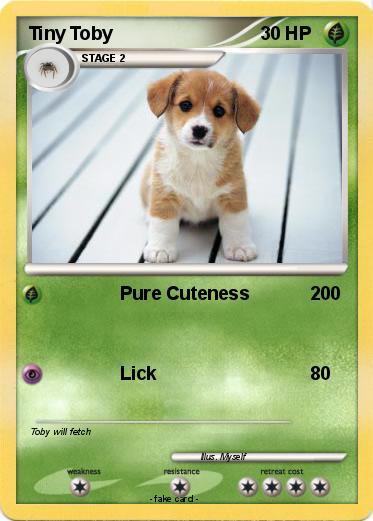Pokemon Tiny Toby