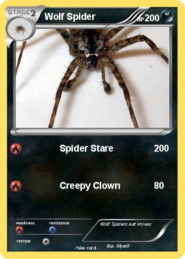 Pokemon Wolf Spider
