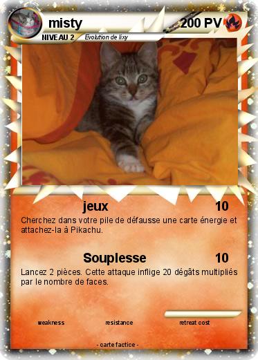 Pokemon misty
