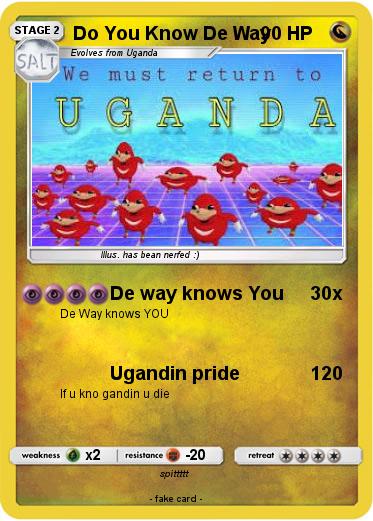 Pokemon Do You Know De Way