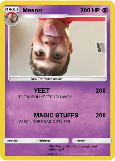 Pokemon Mason